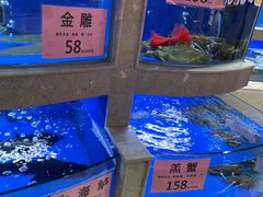 水产区-骏丰酒楼(黄编店)