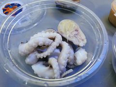 -铭聚章鱼土笋冻(松柏店)