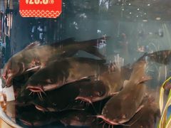 -蜀滋香鲜鱼美蛙火锅(339店)