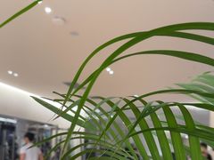 -YCHL FIT 健身(星寰店)