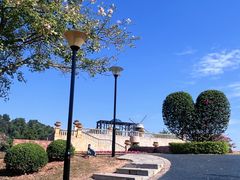 -东莞植物园