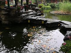 -白家大院·王府宫廷菜(苏州街店)