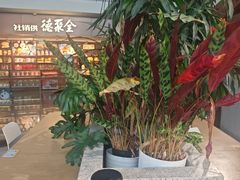 -全聚德(大兴国际机场店)