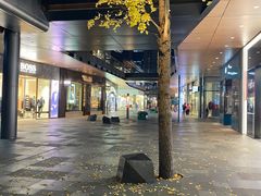 -Apple零售店(成都太古里店)