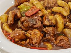 -丁老爷子苏香圆