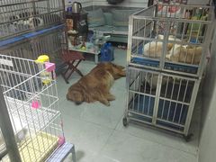 -山东柏宁水族批发广场