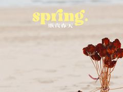 -青岛石老人海水浴场