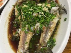 -芦茨金富饭庄·25年老字号·专做稻草鸡