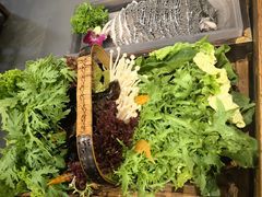 -南门四季铜锅涮肉(左家庄店)