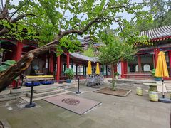 -宫事颐庭·老佛爷贵寿下午茶(颐和园店)