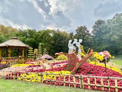 -上海共青森林公园