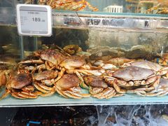 -超级物种(省府店)