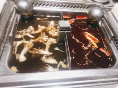 -海底捞火锅(金光华店)