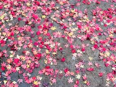 -青岛崂山太清宫