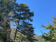 -香山公园