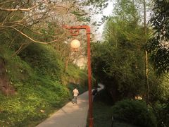 -重庆彩云湖湿地公园