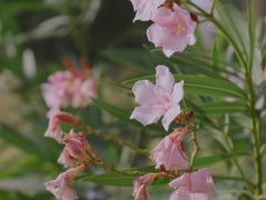 -双月湾