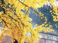 -红螺寺