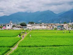 -喜林苑·稻田餐厅(品相府店)