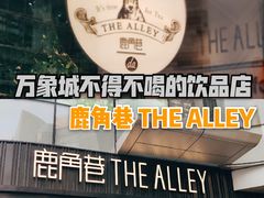 -THE ALLEY 鹿角巷(华润万象城店)