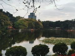 -荔湾湖公园