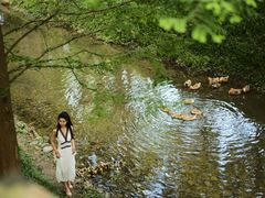 -桤木河湿地公园