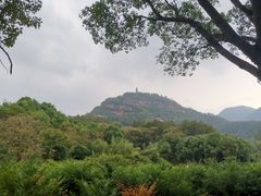 -天台山赤城山景区