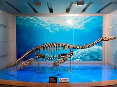 -自贡恐龙博物馆