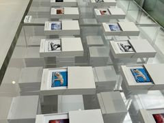 -罗红摄影艺术馆