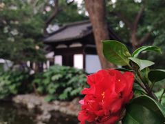-静安公园(静安寺街道)