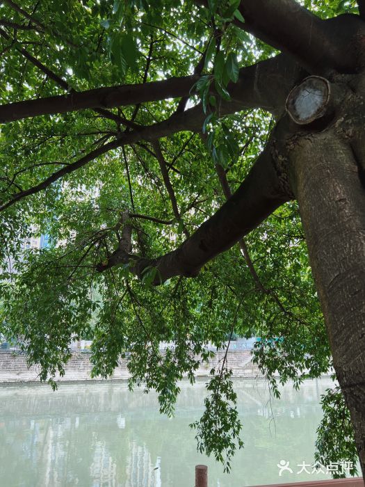 成都市活水公园图片