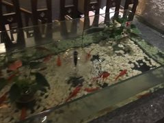 -樱蘭·影院足道·养生SPA(三里屯店)