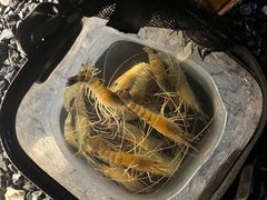 -DGE季风钓虾营地·团建·聚会