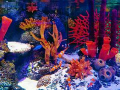 -沈阳海洋探索中心