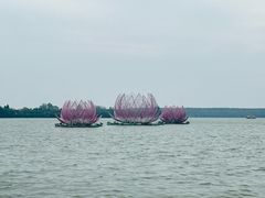 -溱湖国家湿地公园