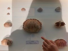 -中国湿地博物馆