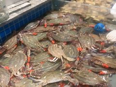 -一方渔歌蒸汽海鲜自助(文化路万达广场店)