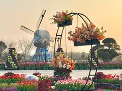 -荷兰花海