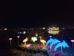 -江心岛