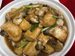 蚝子炆豆腐-电白食府(园岭三街店)