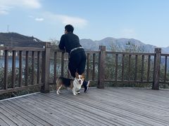 -江南天池