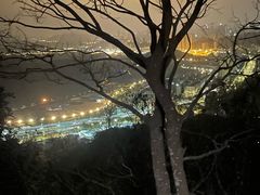 -梧桐山风景名胜区