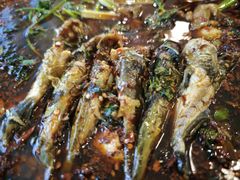 -胖大姐黄辣丁鱼庄(新津店)
