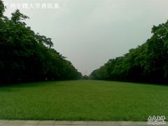 -中山大学学者灵芝(园南路店)