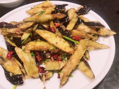 茄子拌八带-晚归月亮湾私家菜(临邑路店)