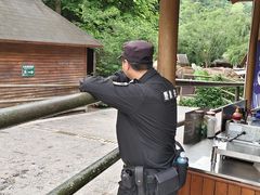 -野象谷景区