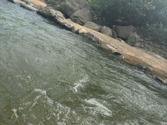 -千岛湖九龙溪漂流