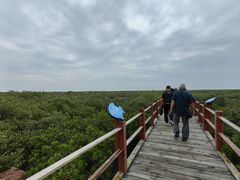 -北海金海湾红树林生态旅游区