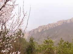 -天津盘山风景名胜区