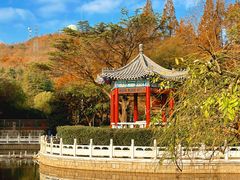 -湛山寺